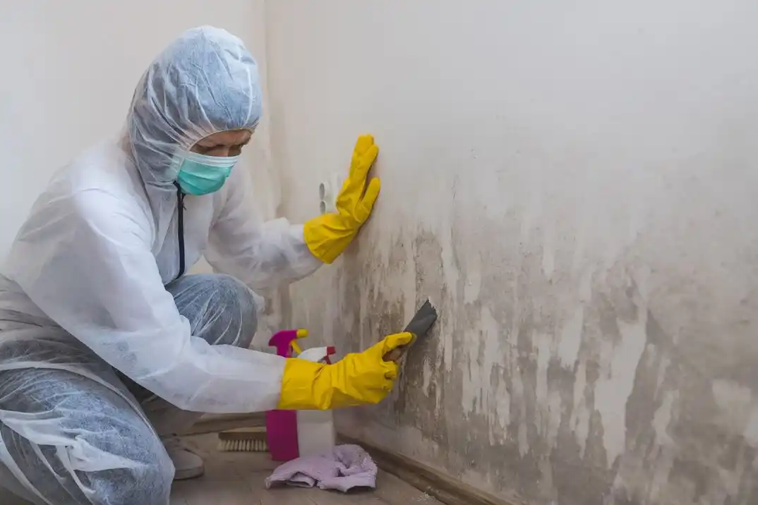 water damage restoration service Maloney Grove